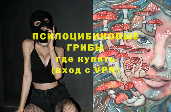 марки lsd Алексеевка