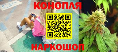 Альфа ПВП Краснодар