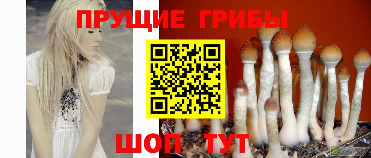 Псилоцибиновые грибы мицелий  Вход с VPN  Галлюциногенные грибы прущие грибы  Коряжма 